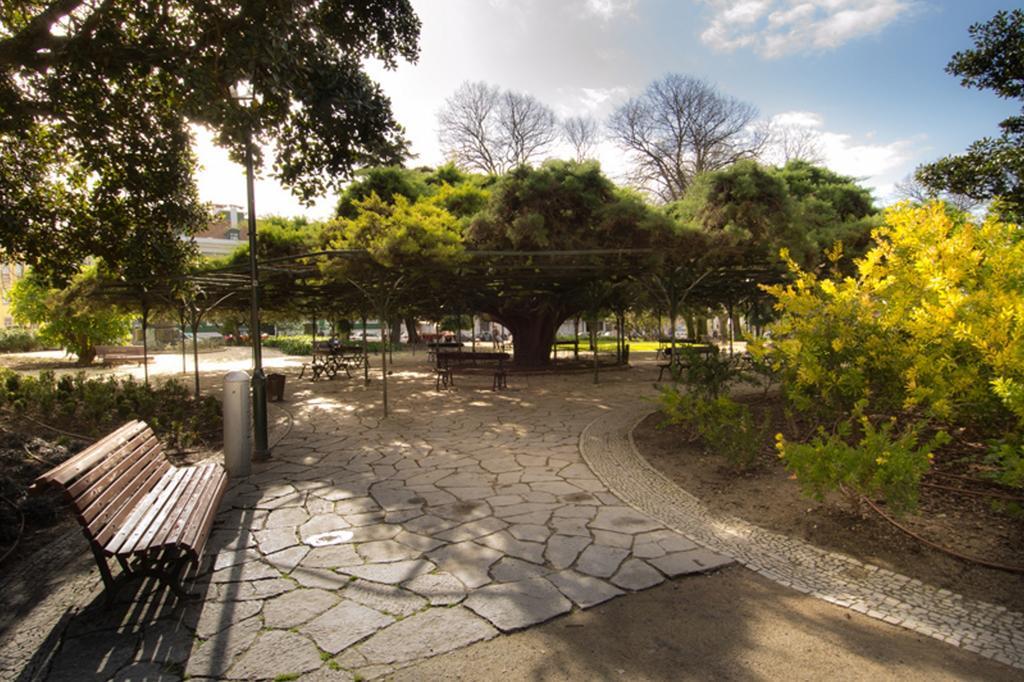 Apartment Alegria Center Lisbon